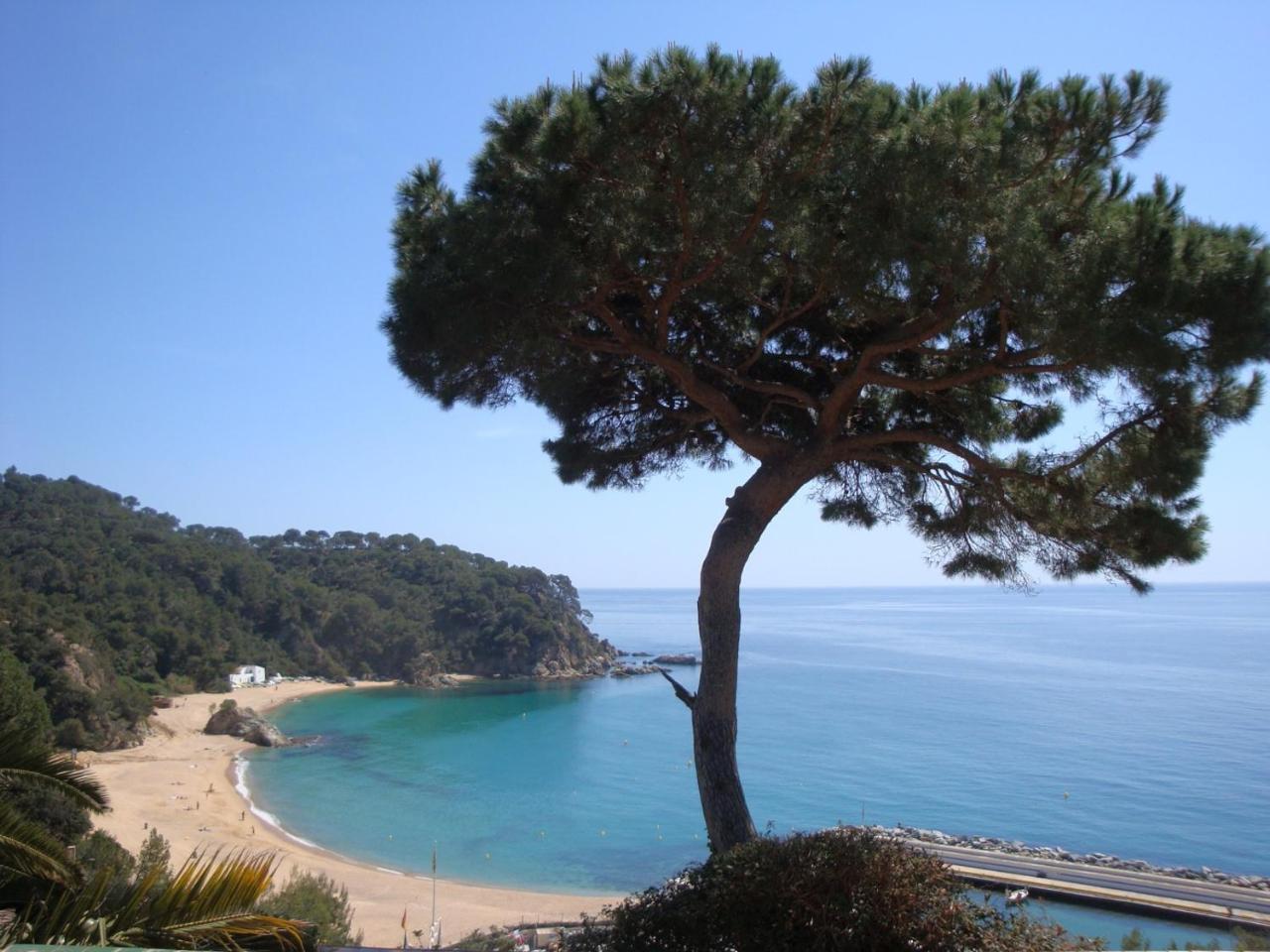 Fischet Lloret de Mar